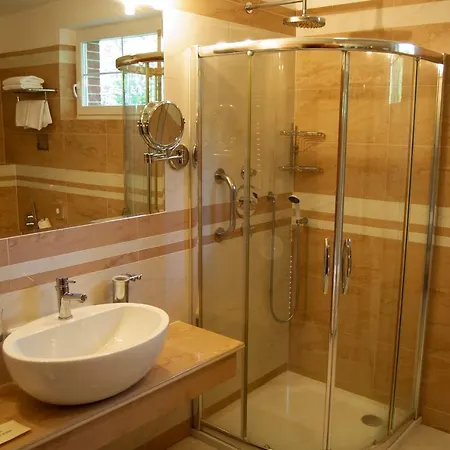 Richard & Wellness 4* Mariánské Lázně