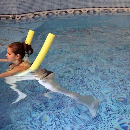Hotel Richard & Wellness 4*