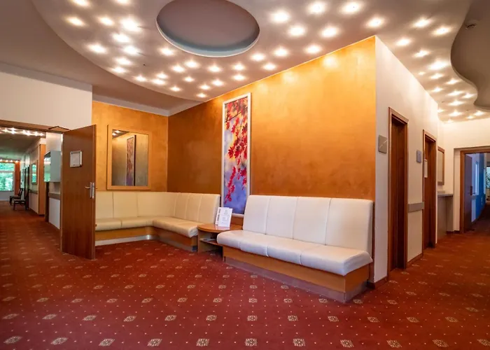 Richard & Wellness Hotel 4*