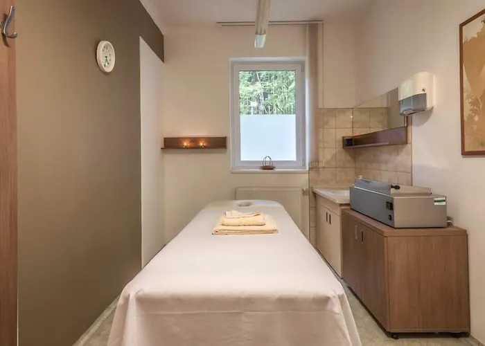 فندق Richard & Wellness 4*